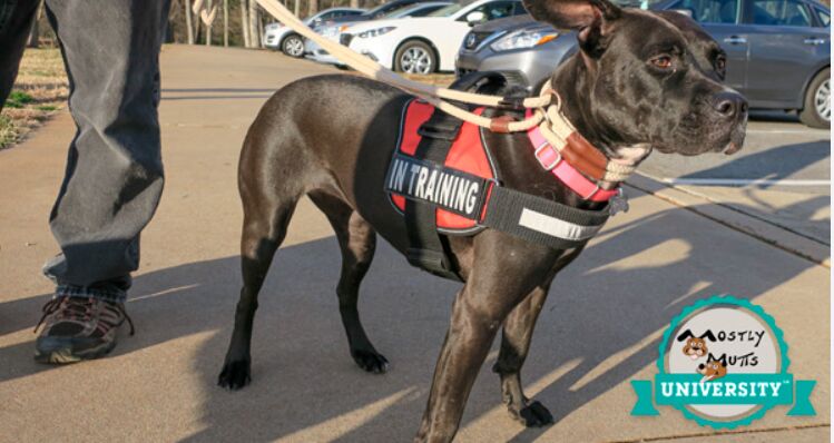 Behind the Scenes: The Hidden World of Horse Racing image